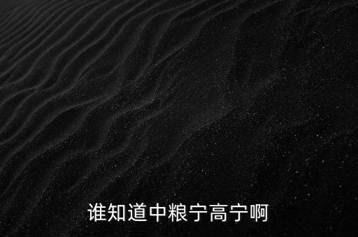 寧高寧為什么離開(kāi)華潤(rùn)，誰(shuí)知道中糧寧高寧啊