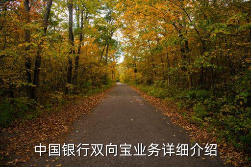 中行雙向?qū)毷鞘裁?，中國銀行雙向?qū)殬I(yè)務(wù)詳細介紹