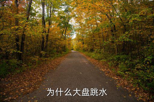 為什么大盤跳水