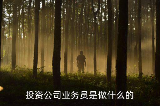投資公司業(yè)務(wù)員是做什么的，投資公司業(yè)務(wù)員是做什么的