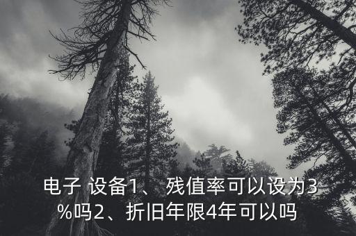 電子 設(shè)備1、 殘值率可以設(shè)為3%嗎2、折舊年限4年可以嗎