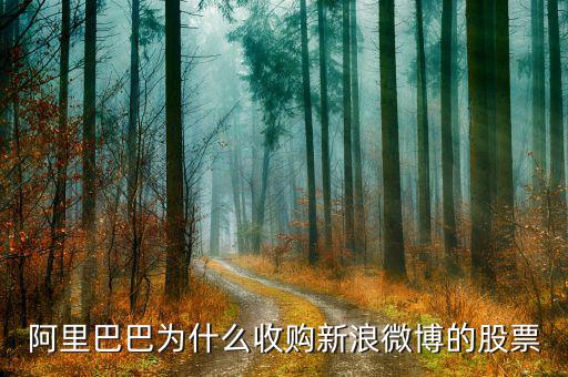新浪微博為什么在盈利后才上市，新浪微博為何上市