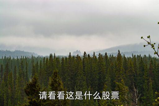 993961是什么股票，請(qǐng)看看這是什么股票