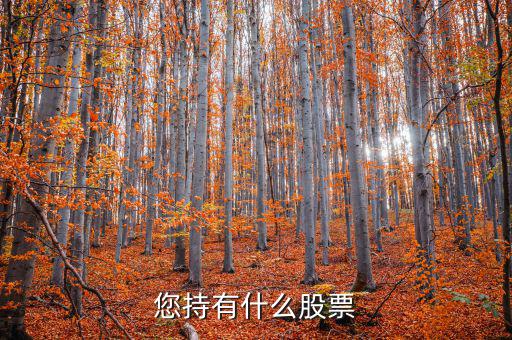 張正委持有什么的股票，香港中央代理人持有哪些股票