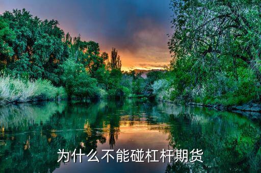 鄭商期貨為什么不能碰，為什么期貨不能玩
