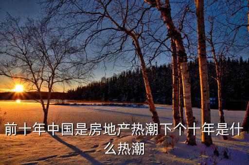 前十年中國是房地產熱潮下個十年是什么熱潮