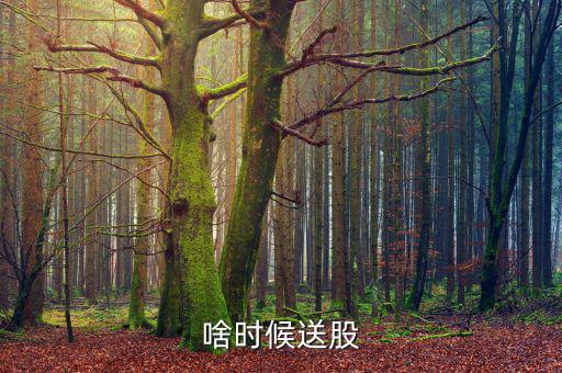 鐵嶺新城什么時候送股，大家都說它出的中報好但我不知道怎么看我只想問問什么么時候
