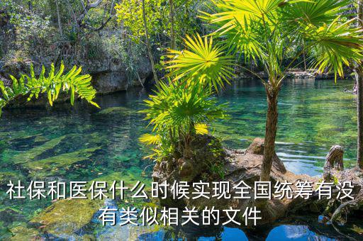 社保和醫(yī)保什么時(shí)候?qū)崿F(xiàn)全國(guó)統(tǒng)籌有沒(méi)有類似相關(guān)的文件