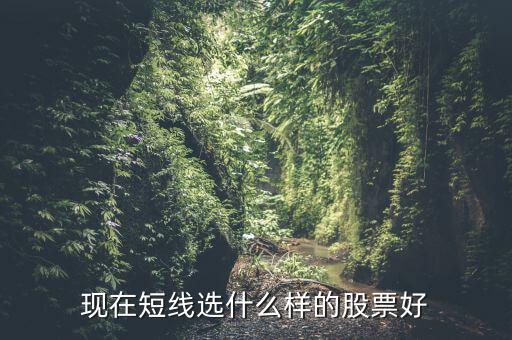 現(xiàn)在短線選什么樣的股票好