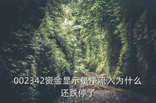 資金凈流入為什么還跌停，資金凈流入怎么還跌停了