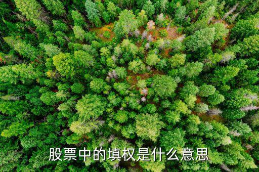 什么樣的股票填權，什么是股市中的填權