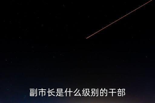 重慶市副市長是什么級別，重慶副市長是什么級別