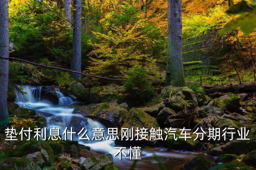 墊付利息是什么意思，紅利保險會自動墊付期間會出利息