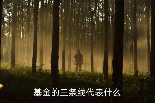 基金滬深兩條線是什么意思，這基金的幾條線分別代表什么意思