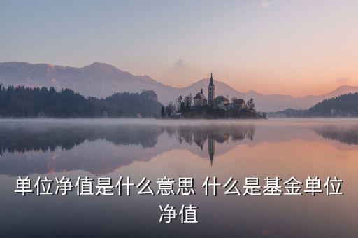 單位凈值什么意思，單位凈值是什么意思
