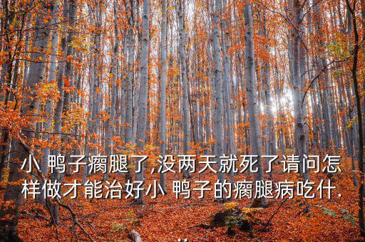 小 鴨子瘸腿了,沒兩天就死了請(qǐng)問怎樣做才能治好小 鴨子的瘸腿病吃什...