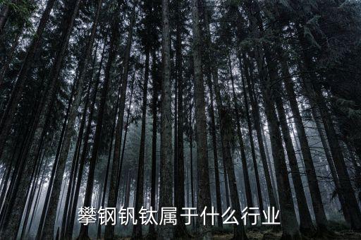釩鈦產(chǎn)業(yè)屬于什么行業(yè)，攀鋼釩鈦屬于什么行業(yè)
