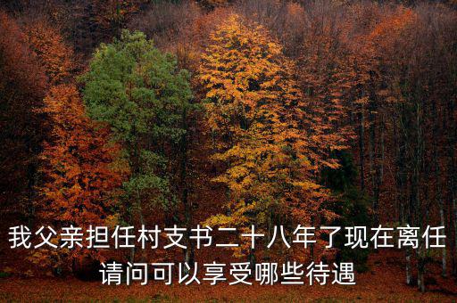 我父親擔(dān)任村支書二十八年了現(xiàn)在離任請(qǐng)問可以享受哪些待遇