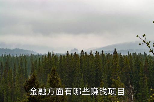 金融里什么賺錢，金融方面有哪些賺錢項目