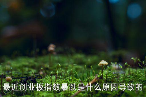 2014創(chuàng)業(yè)板指數(shù)為什么會下跌，為什么股指大幅下跌2014