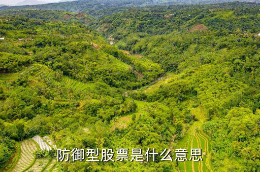 防御型股票是什么意思