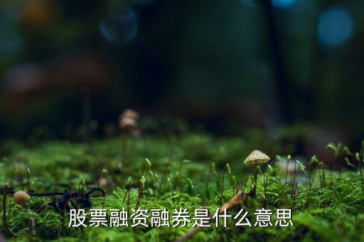什么是融資融券業(yè)務(wù)，融資融券業(yè)務(wù)是指證券公司向客戶出借資金供其買入證券或者出借