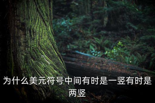 比美元符號多一豎是什么，一個很像美元的符號 但是那一豎是不貫穿S的 也就是S上面有一小豎