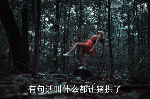 有句話叫什么都讓豬拱了