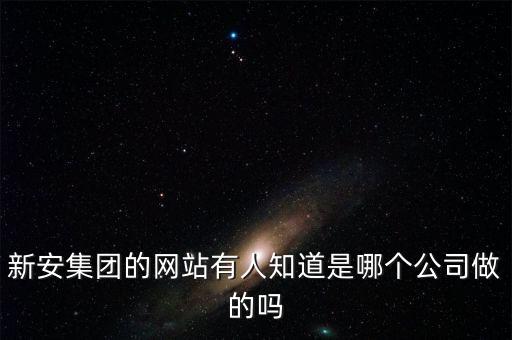 新安股份做什么的，新安集團的網(wǎng)站有人知道是哪個公司做的嗎
