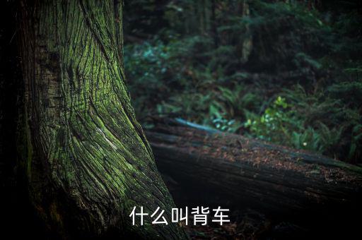 汽車背上叫什么來的，艙背車為何物