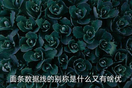 skewrons是什么牌子，skewrons是什么意思