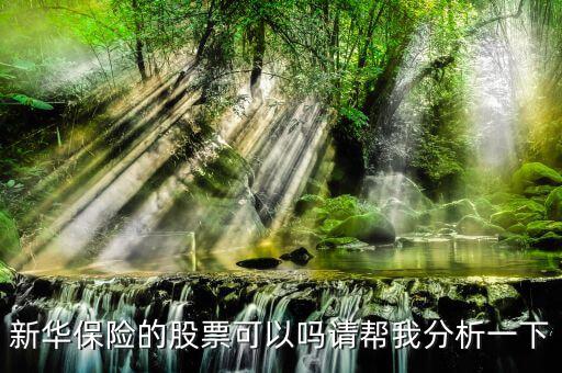 新華保險(xiǎn)為什么股票漲這么多，新華保險(xiǎn)的股票可以嗎請(qǐng)幫我分析一下