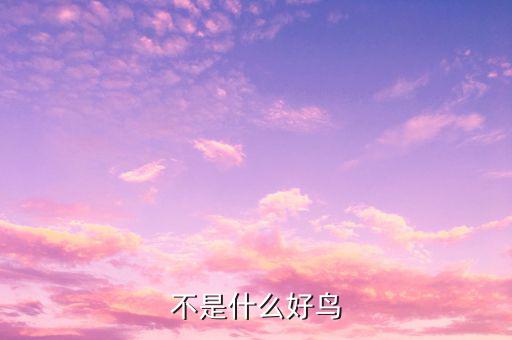 孟兵不是什么好鳥(niǎo)，不是什么好鳥(niǎo)