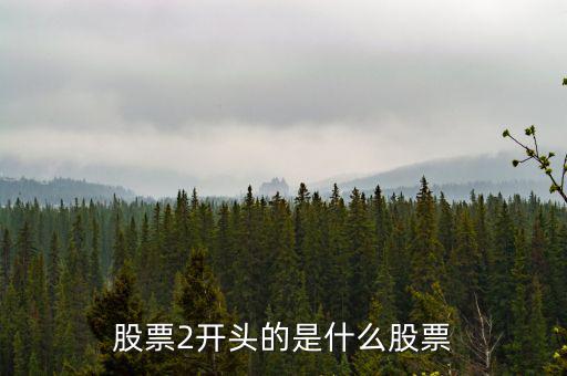 股票2開頭的是什么股票