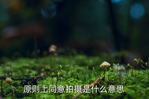 原則上同意是什么意思，原則上同意是什么意思