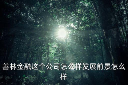 善林公司經(jīng)營(yíng)什么，善林金融這個(gè)公司怎么樣發(fā)展前景怎么樣