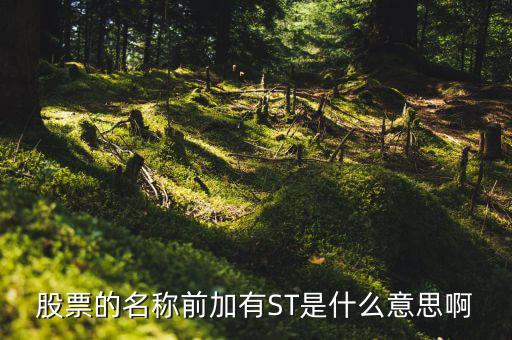 股票的名稱前加有ST是什么意思啊