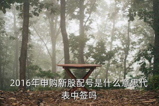 2016年申購新股配號是什么意思代表中簽嗎