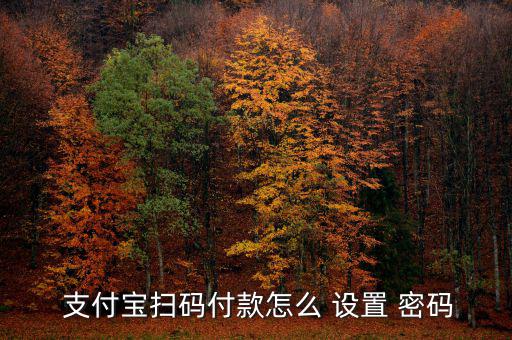  支付寶掃碼付款怎么 設置 密碼