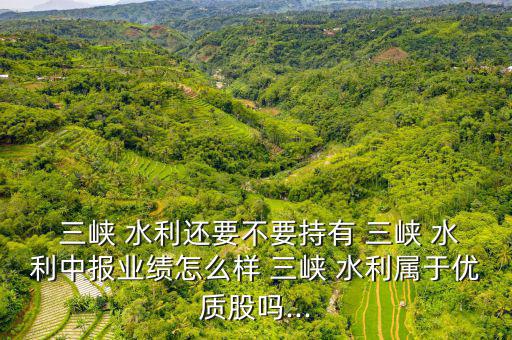 萬州三峽水利電力收入怎么樣,周五開始分析三峽水利股!