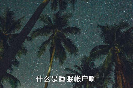 什么是睡眠賬戶，什么是睡眠帳戶啊