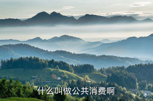 什么是公共消費，什么叫做公共消費啊
