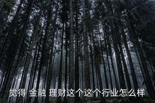 金融理財行業(yè)怎么樣