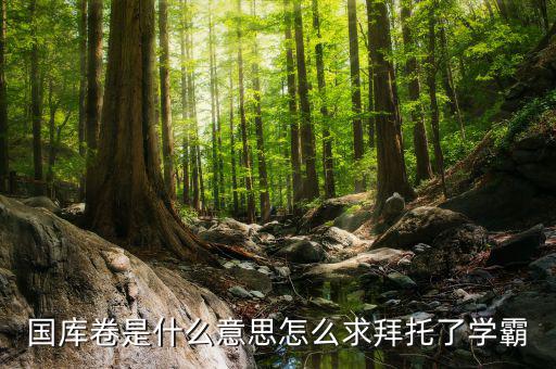 國庫卷什么意思，國庫卷是什么意思怎么求拜托了學(xué)霸