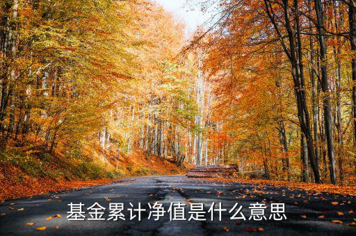 基金累計(jì)凈值是什么意思，基金凈值累計(jì)凈值各指什么