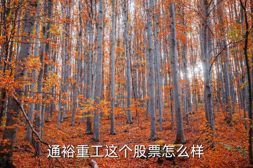 通裕重工是什么板塊，通裕重工這個股票怎么樣