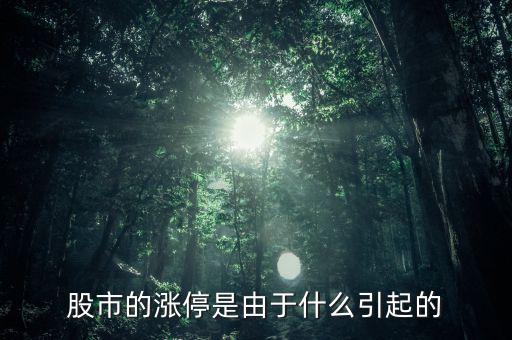 股票漲停跟什么有關(guān)系，股票開(kāi)盤(pán)就漲停受什么因素影響能否具體回答