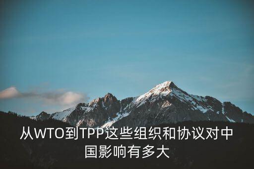 從WTO到TPP這些組織和協(xié)議對中國影響有多大