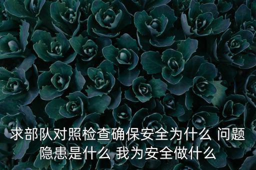 求部隊對照檢查確保安全為什么 問題隱患是什么 我為安全做什么