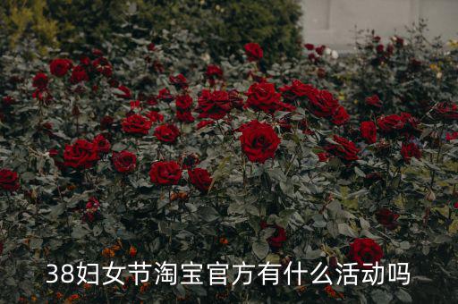 三八婦女節(jié)各個電商有什么活動，淘寶店在三八節(jié)可以搞些什么活動